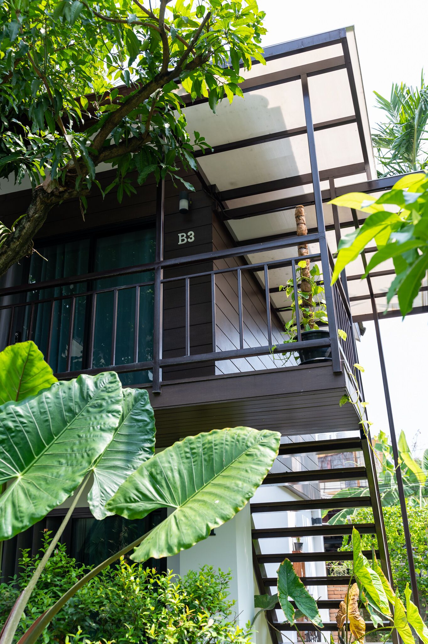 Foto - นายก่ายหมอน Nine-Kai-Mon