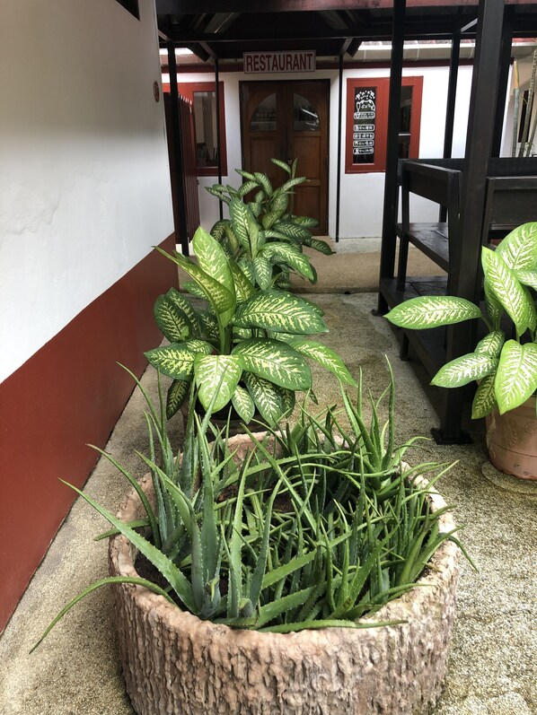 Front of property
