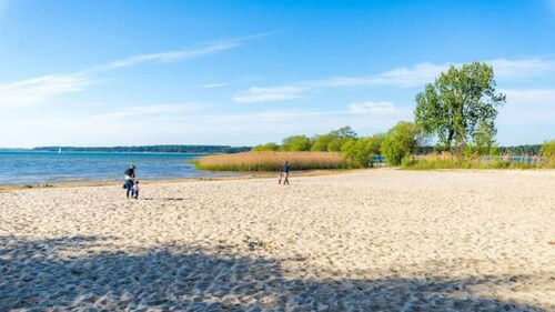 3 bedroom house on the edge of a forest