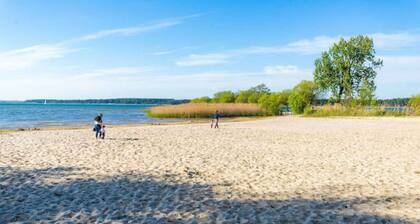 3 bedroom house on the edge of a forest