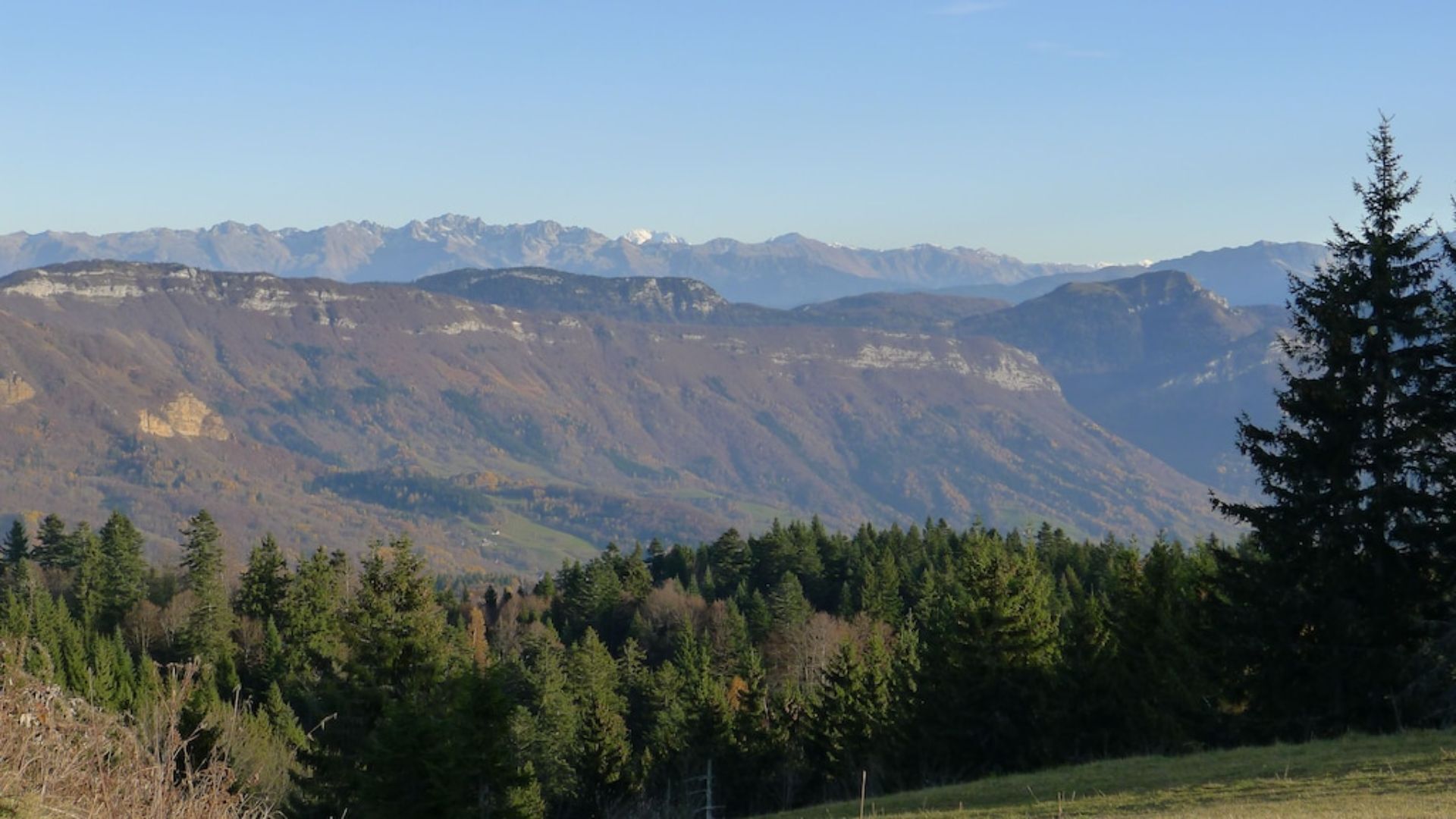 A mountainous landscape with dense forests in the foreground and distant snow-capped peaks.