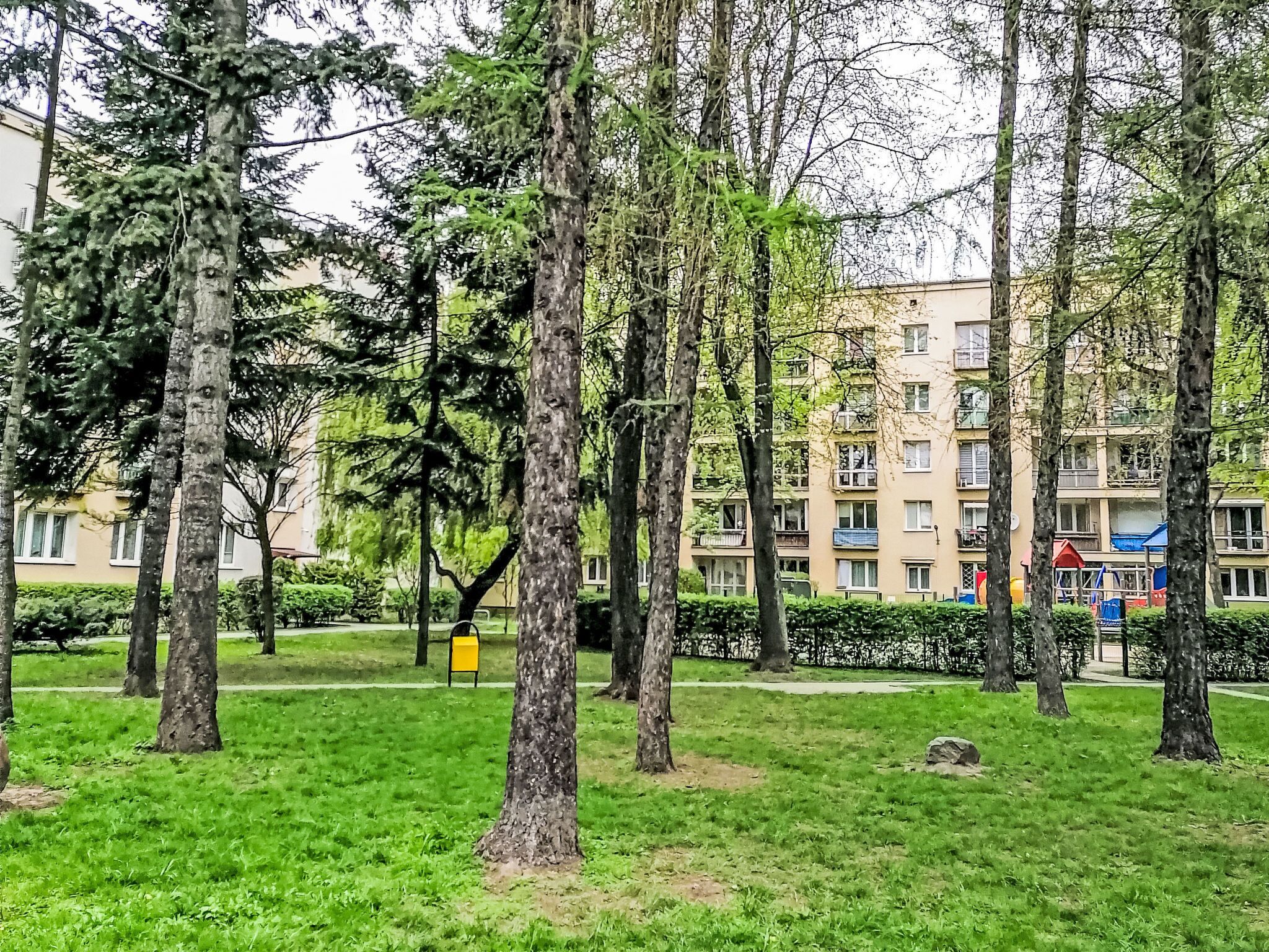Un parc avec des arbres et, au fond, un immeuble d’habitation.