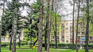 Un parque con árboles y un edificio residencial al fondo.