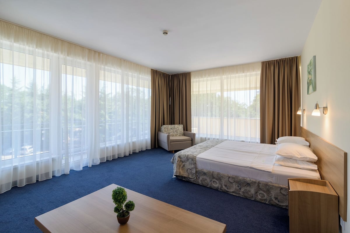 A hotel room with a bed, a chair, a small table with a plant, and large windows with curtains.
