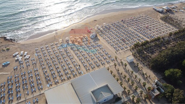 An aerial view of a beach with rows of sun loungers and umbrellas, a building with a flat roof, and palm trees.