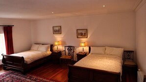 A bedroom with two single beds, wooden headboards, bedside tables with lamps, and a patterned rug. - 4 bed historically significant house sleeping 8 (Clarecastle)