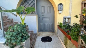 A front entrance with a grey door, a small window with a metal grille, a potted plant, and a mailbox. - WINE HOUSE ON VESUVIUS (Pollena Trocchia)