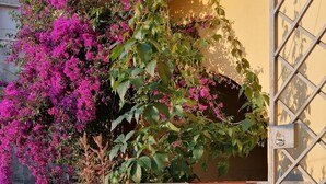 A table with a colorful tablecloth, a yellow cushion, and potted plants with pink flowers. - WINE HOUSE ON VESUVIUS (Pollena Trocchia)