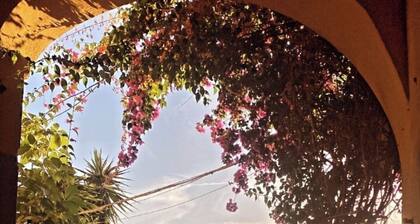 WINE HOUSE ON VESUVIUS