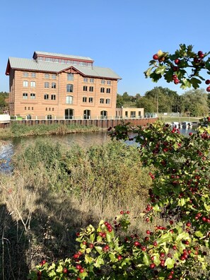 المنطقة المحيطة بالمنشأة