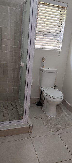 A bathroom with a glass shower enclosure, a toilet, and a window with blinds.