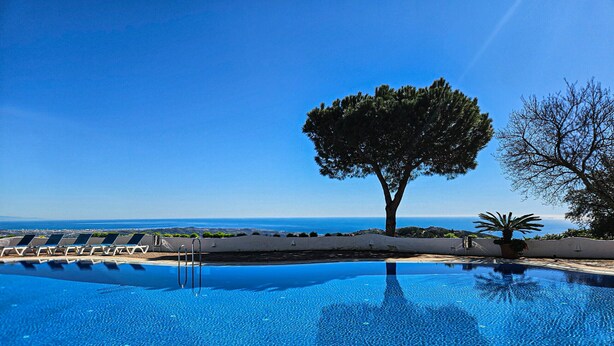 A clear blue pool with lounge chairs and a tree in the center, overlooking a scenic view.