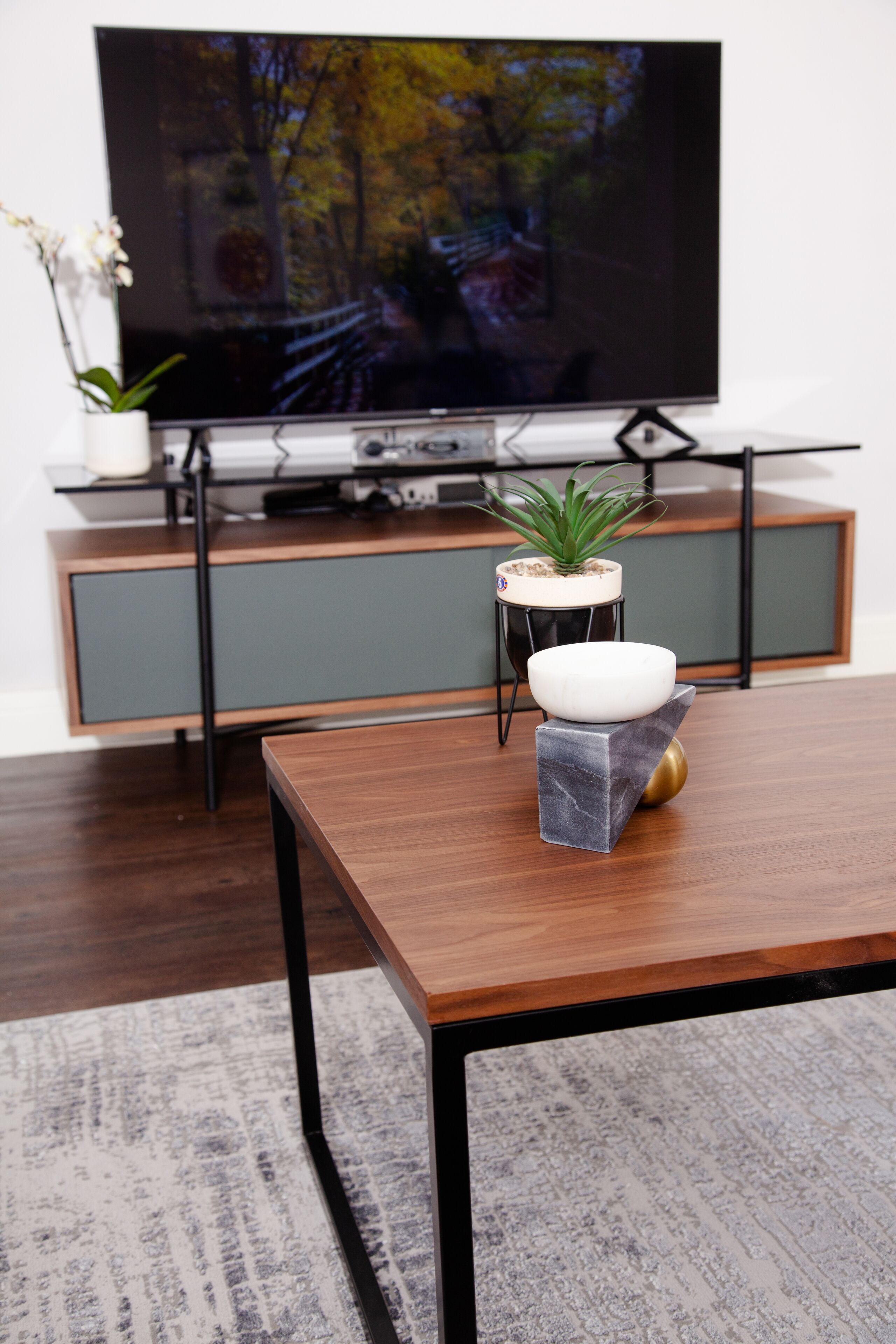 Ein modernes Wohnzimmer mit Couchtisch aus Holz, einer kleinen Topfpflanze und einem Flachbildfernseher auf einem Standfuß.