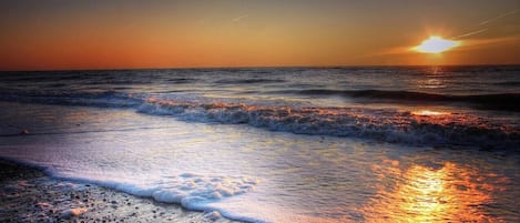 Plage, chaises longues, serviettes de plage