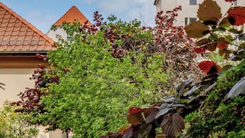 Ein Weg führt zu einem Gebäude mit rotem Ziegeldach und einem Turm.