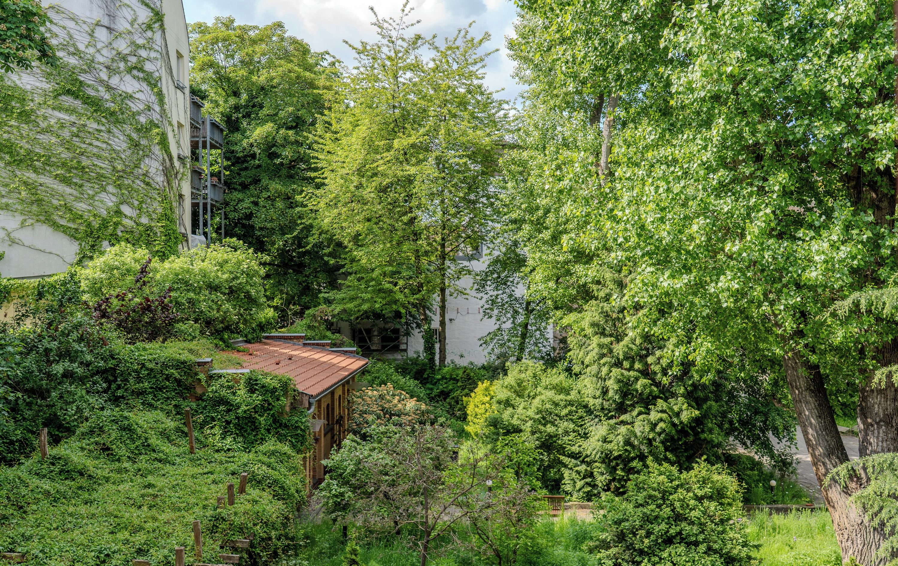 A lush garden with dense foliage and a building with a red roof.