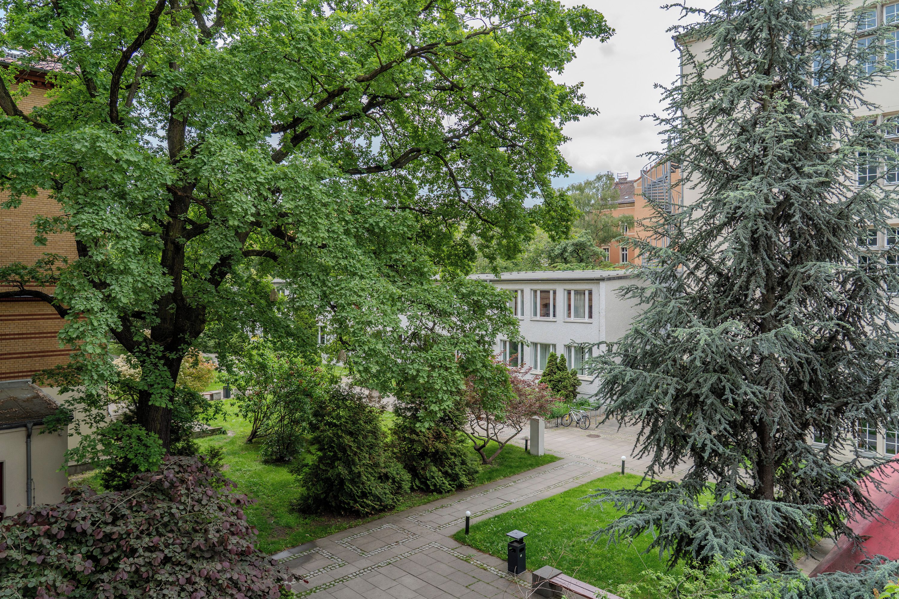 Ein Wohngebiet mit einem Weg, der zu einem Gebäude mit heller Fassade und mehreren Fenstern führt.
