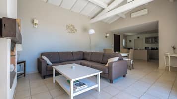 TV connectée, cheminée, livres