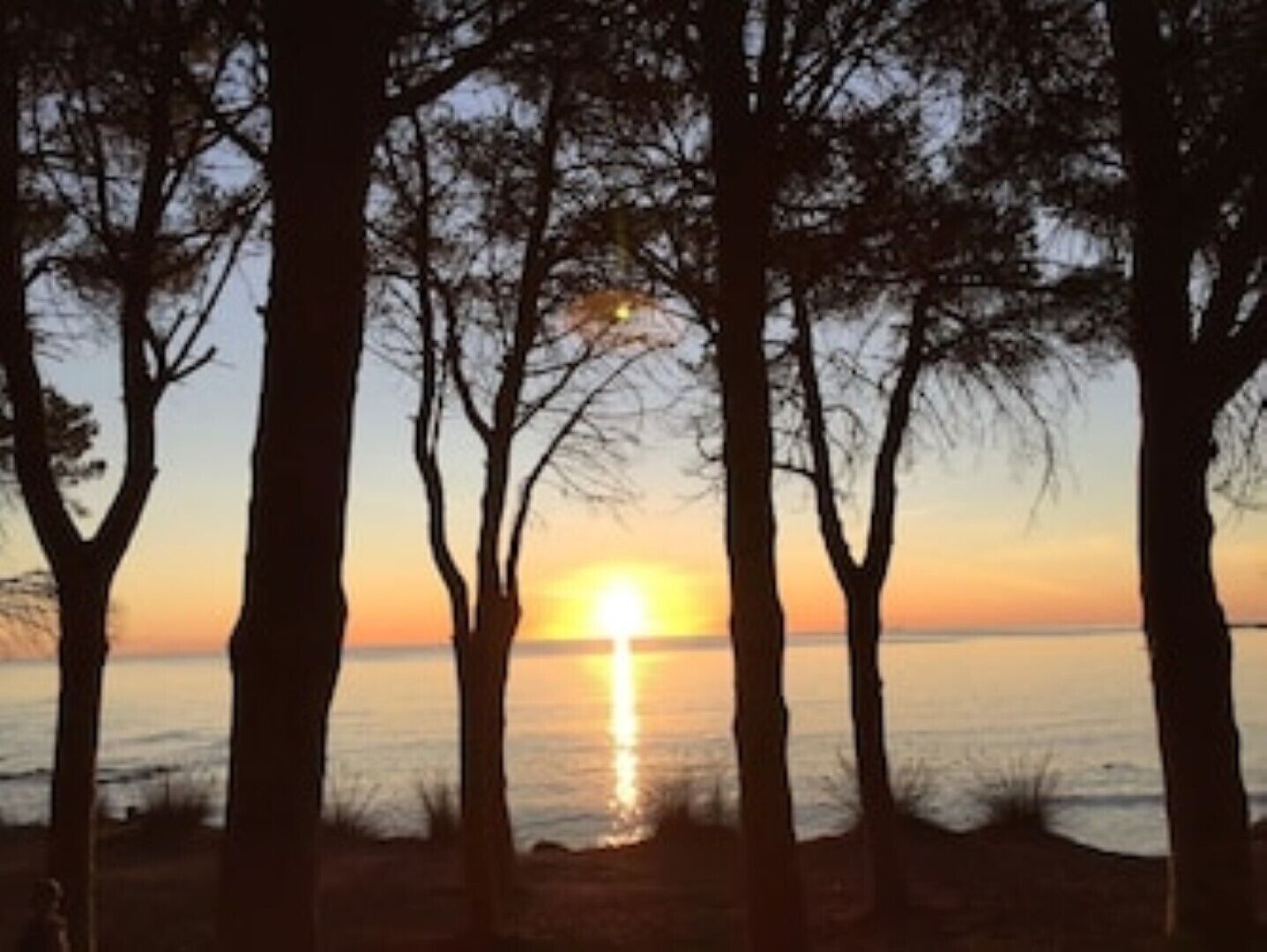 A sunset over a calm body of water with trees silhouetted against the sky.