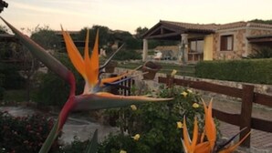 A garden with a bird of paradise flower and a stone building with a tiled roof. - Villa with private pool, 10 minutes from the sea, large garden*parking*BBQ  (Sardegna)