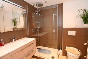 Shower, hair dryer, towels, toilet paper