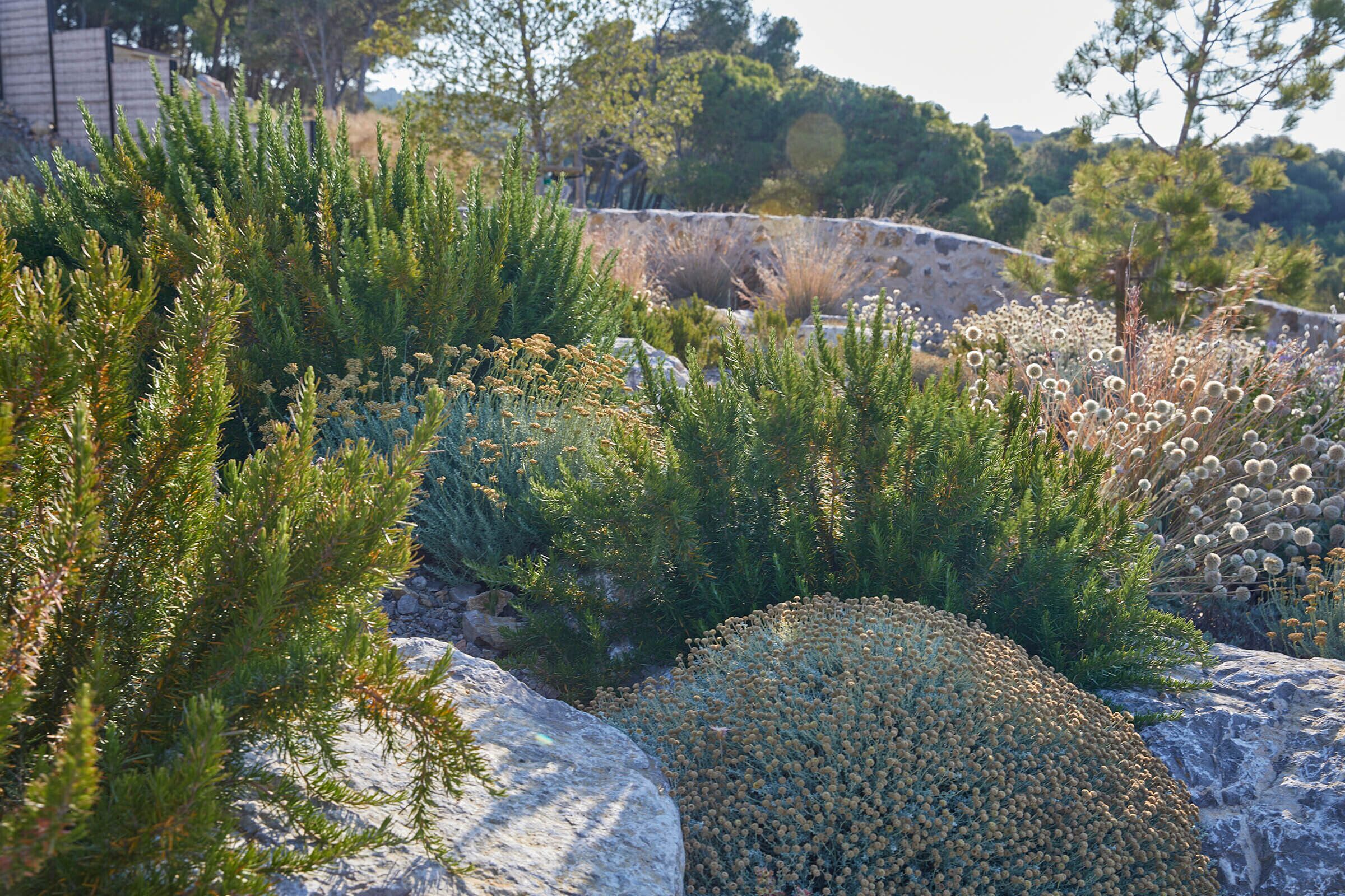 Foto - Château Capitoul