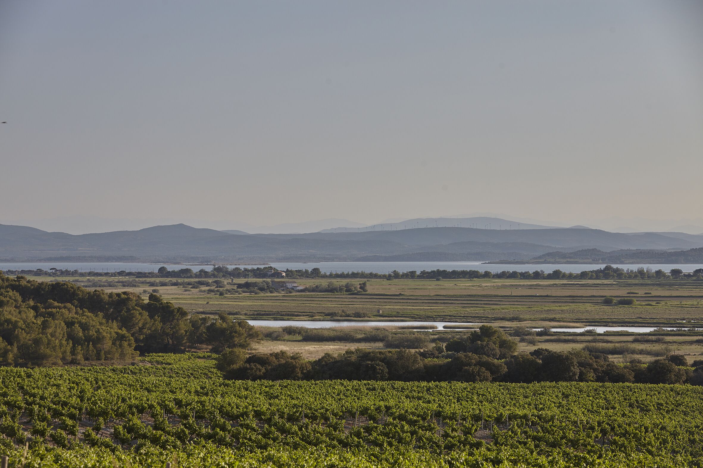 Foto - Château Capitoul