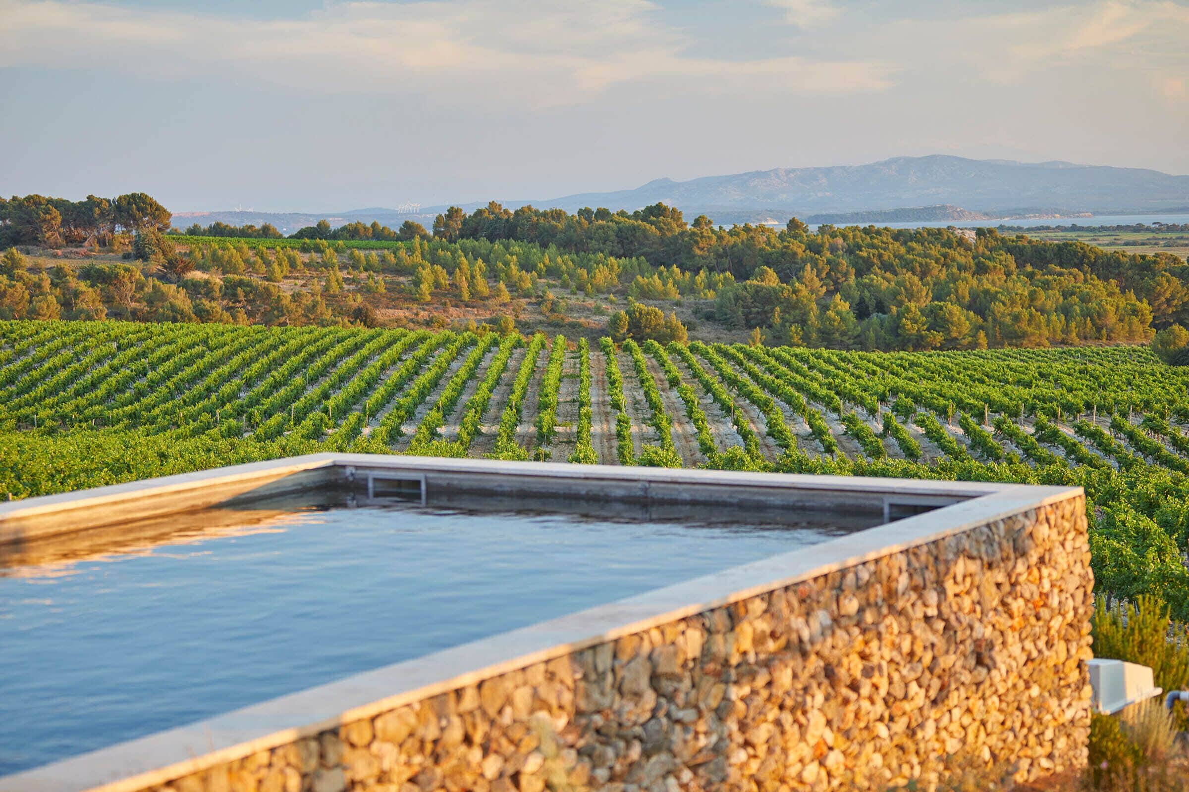 A rooftop infinity pool with a stone wall, surrounded by vineyard rows and distant mountains.