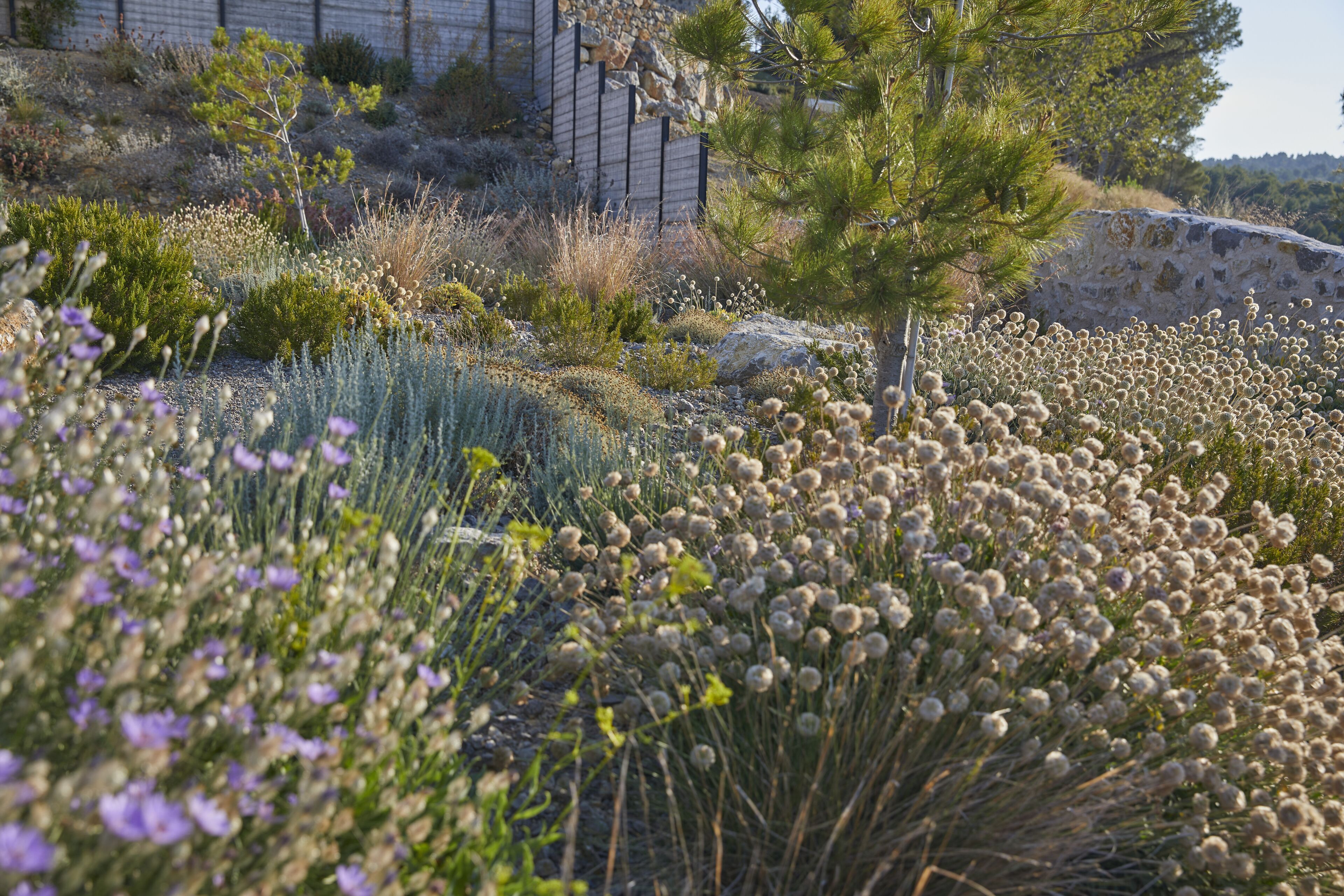 Foto - Château Capitoul