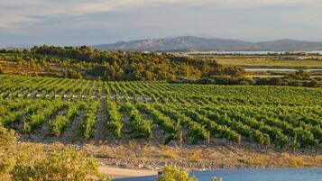 Indoor pool, seasonal outdoor pool, pool umbrellas, pool loungers