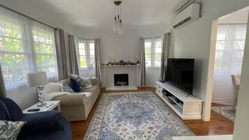 Smart TV, fireplace, video games, books