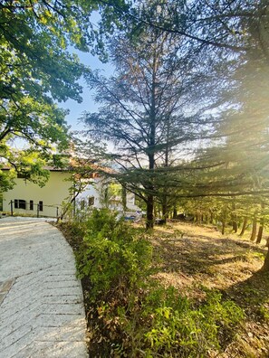 Áreas de la propiedad