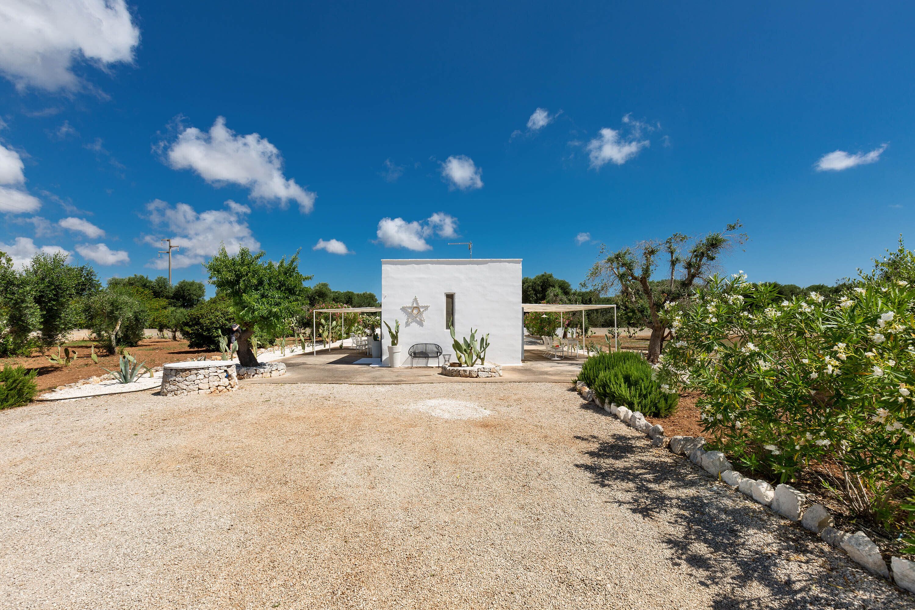 A white building with a star symbol, surrounded by gravel, cacti, and flowering plants.