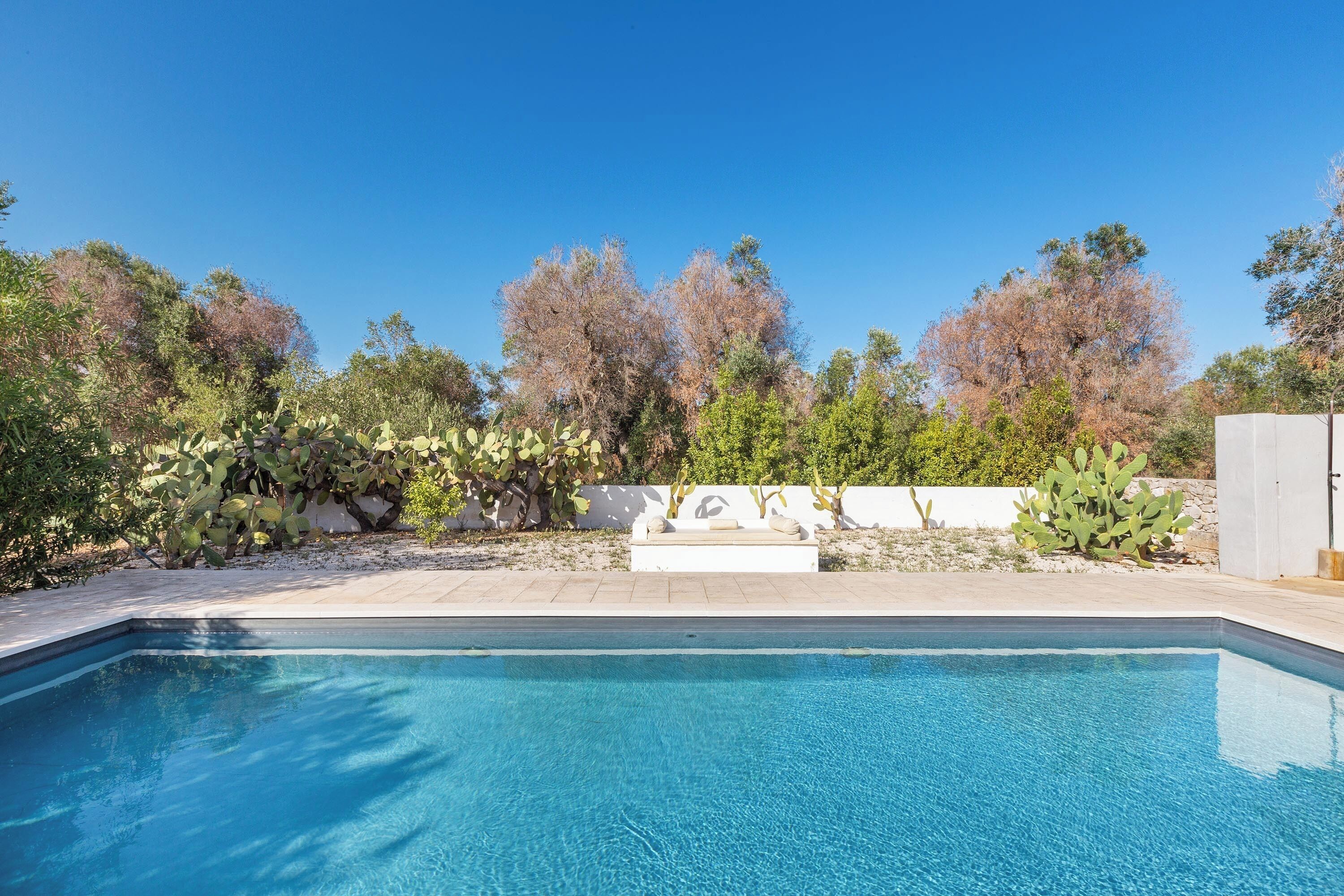Une piscine rectangulaire à l’eau d’un bleu cristallin, entourée d’un jardin aménagé où poussent différentes plantes et arbres.