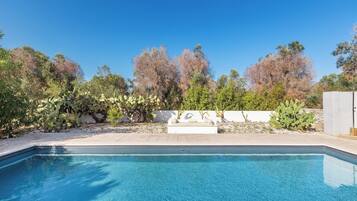 Une piscine rectangulaire à l’eau d’un bleu cristallin, entourée d’un jardin aménagé où poussent différentes plantes et arbres.
