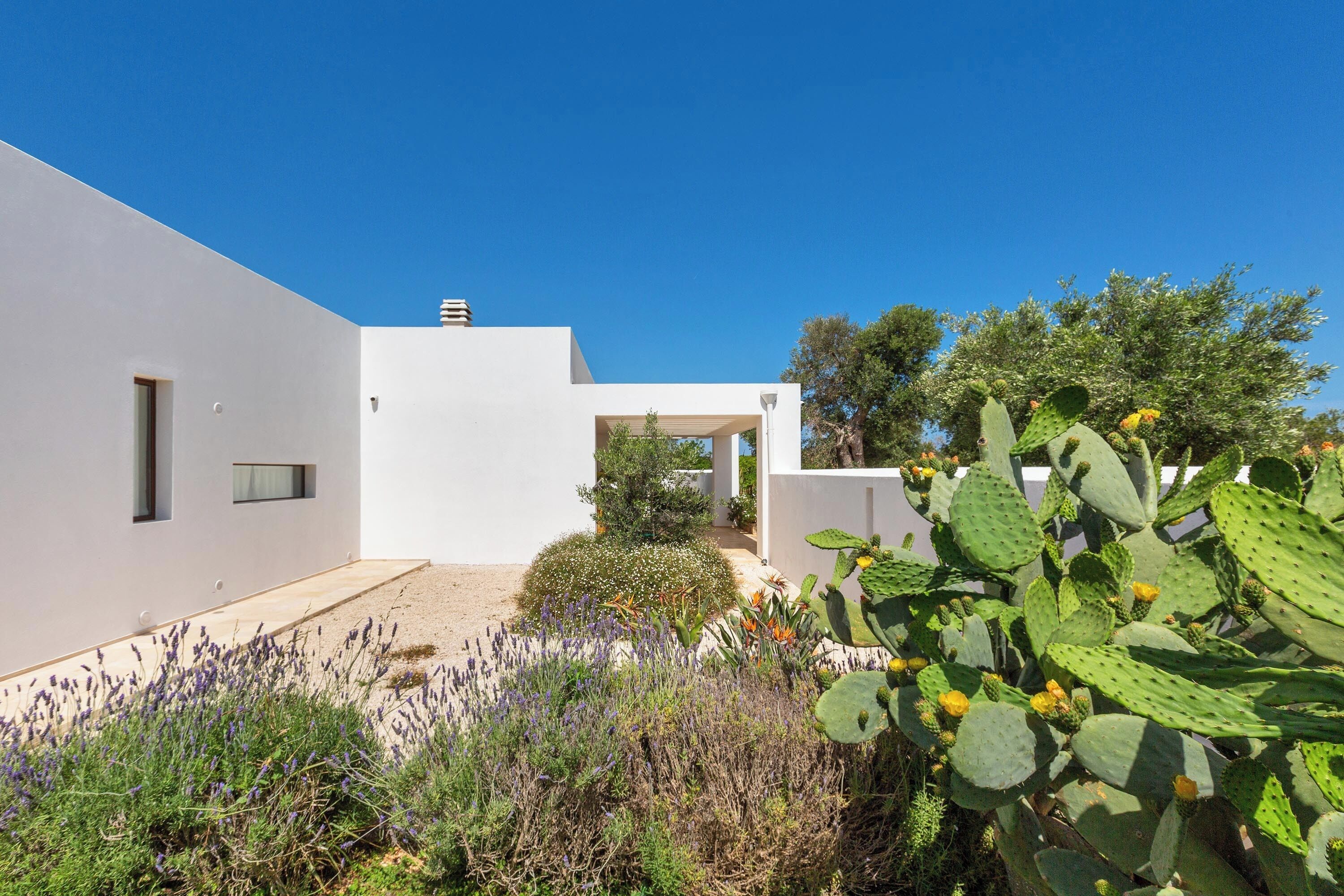 Una casa moderna con fachada blanca, un porche cubierto y un jardín con cactus y lavanda.