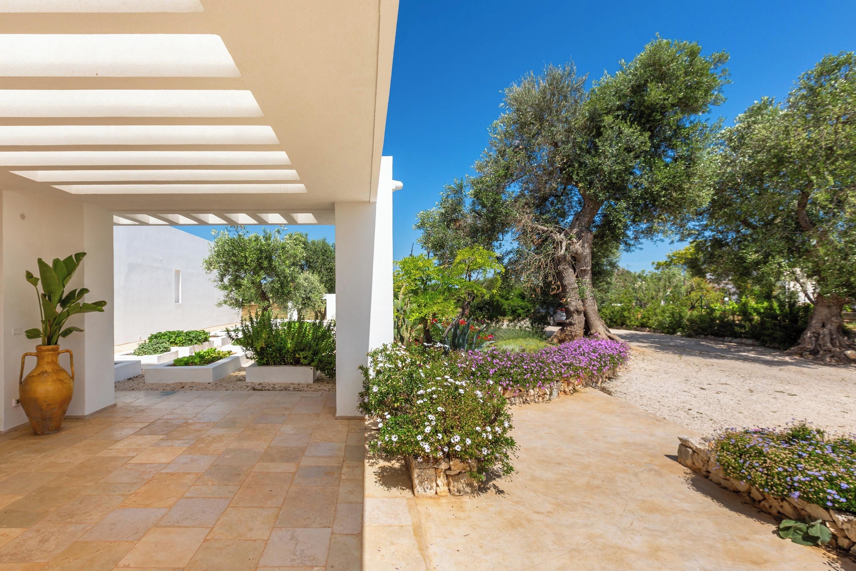 Zona exterior coberta amb sòl de rajola, plantes en testos i un camí que condueix a un jardí amb arbres i flors.