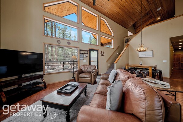 TV, fireplace, books