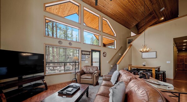 TV, fireplace, books