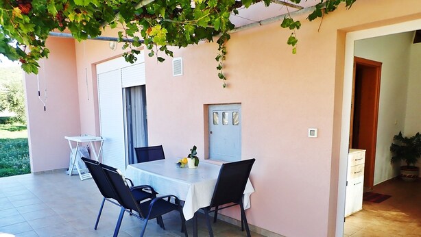 A dining area with a table and chairs, a potted plant, and a door leading to another room.
