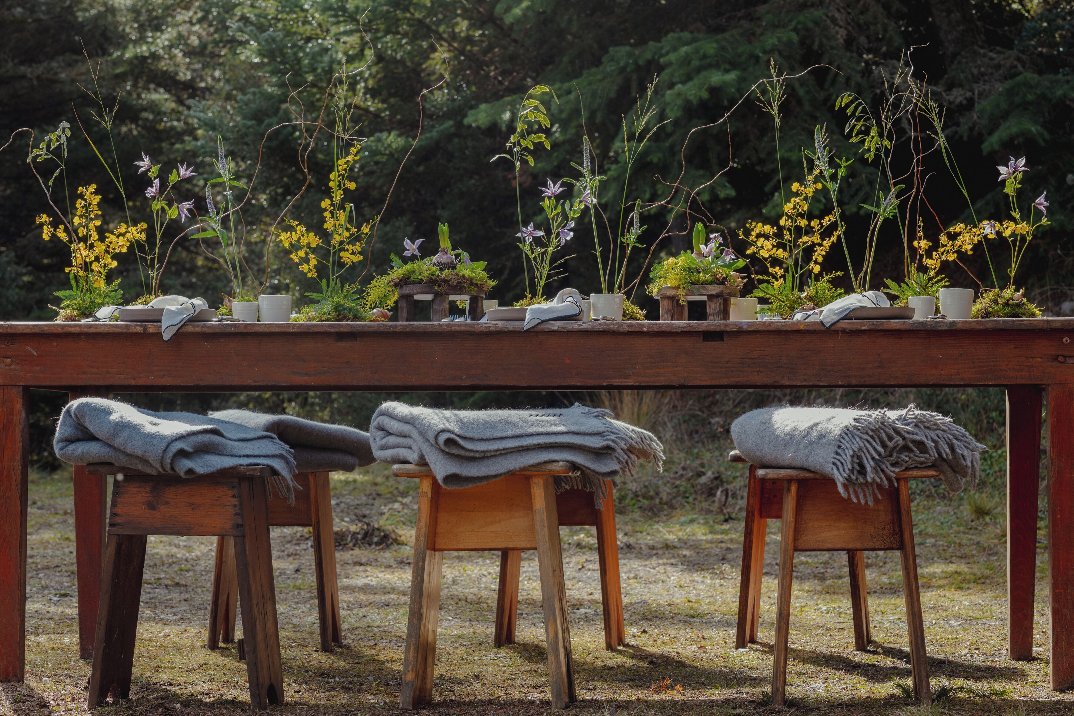 A wooden table with potted plants and a blanket on stools in an outdoor setting.