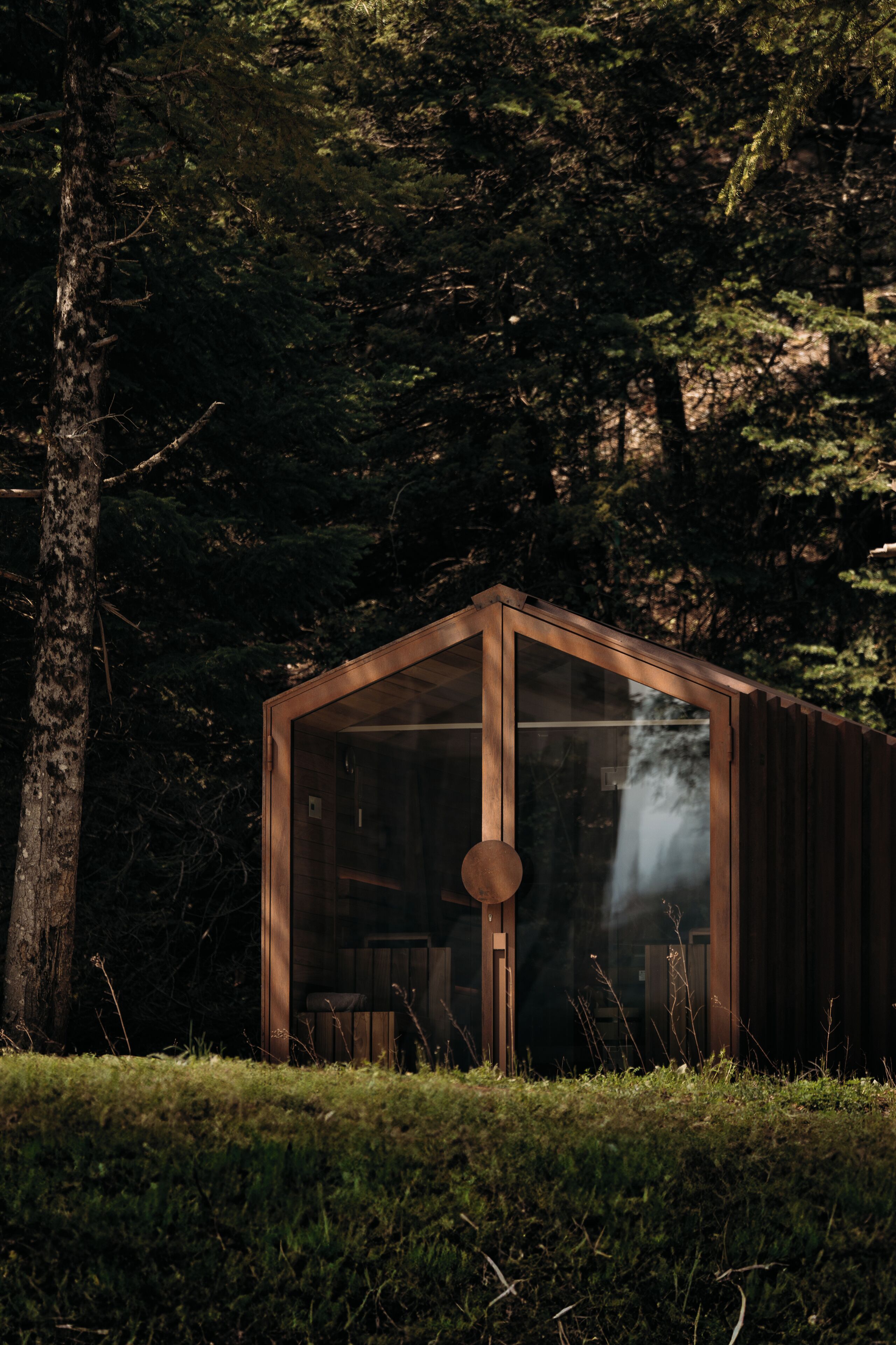 A wooden cabin with a glass door, surrounded by dense forest.