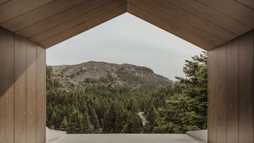 A room with a view of a forested mountain.