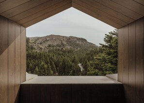 Una habitación con vista a una montaña boscosa.