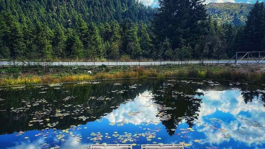 MANNA, a Member of Design Hotels