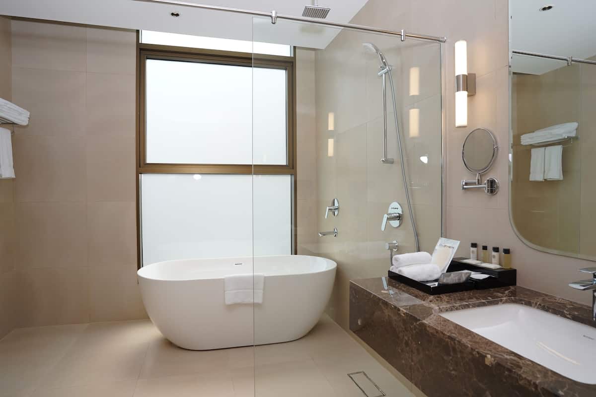 rainfall showerhead, hair dryer, slippers, bidet