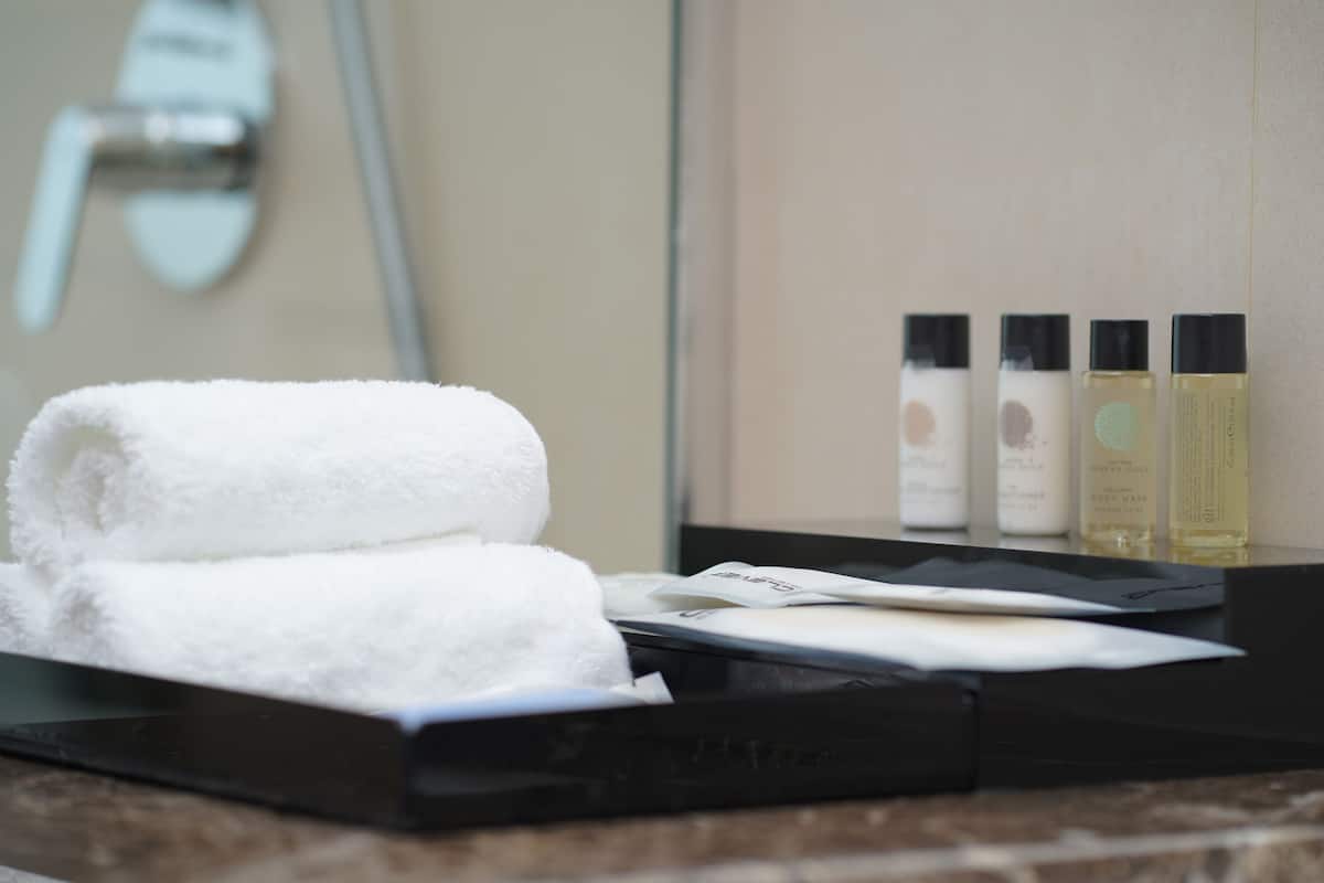 rainfall showerhead, hair dryer, slippers, bidet