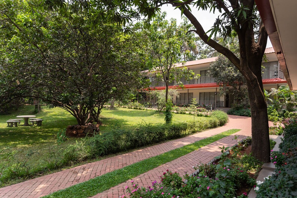 A garden with a paved walkway, a large tree, and a building with a red roof in the background.