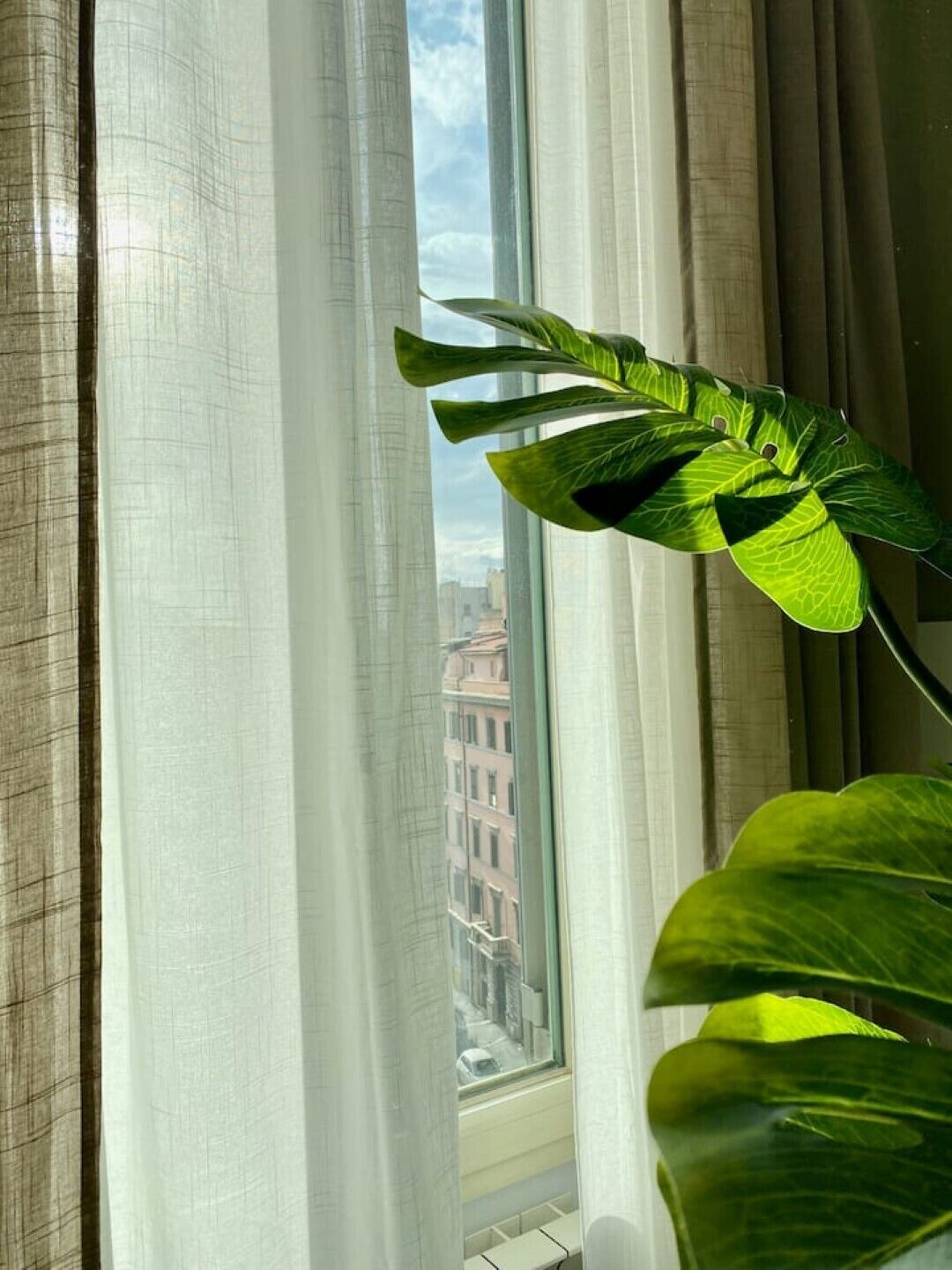 A window with sheer curtains, a view of buildings, and a large green plant in the foreground.