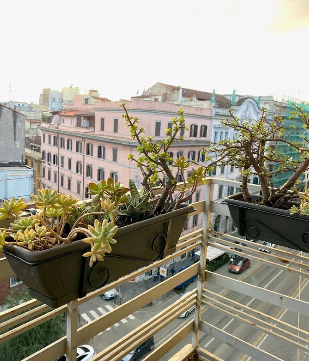 Varanda com vasos de plantas com vista para um horizonte urbano com edifícios.